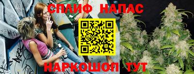 прущая мука Будённовск