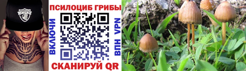Псилоцибиновые грибы ЛСД Кандалакша